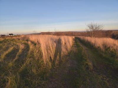 Działka na sprzedaż, Rzeszowski, Tyczyn