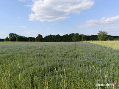 Działka w pięknej okolicy