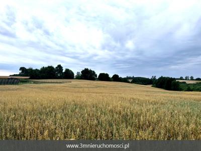 Działki na sprzedaż w Bożympolu Królewskim