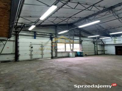 Lokal 780m2 Chlebnia