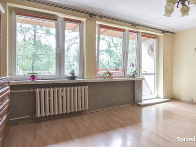 duży balkon prosto na park + piwnica 10m2