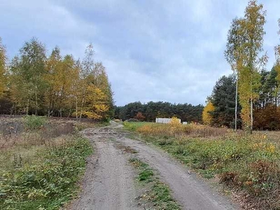 Księżak, 6 działek bud-leś. pod lasem od 1520 m2