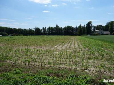 Skoczów Ochaby 1,6ha z prawem zabudowy lux lokalizacja media