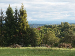 Krakowski (pow.), Zabierzów (gm.), Bolechowice