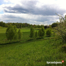 Wydzierżawię działkę rolno-budowlaną 1,68 ha 35 km od Olsztyna