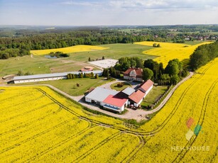 Lokal komercyjny lokal usługowy