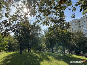 Mieszkanie, Mokotów, 3 pokoje