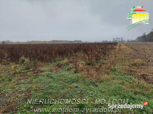 Oferta sprzedaży gruntu Miedniewice 1153m2