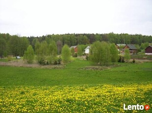 Sprzedam działkę nad Jeziorem Świekatowskim w Borach