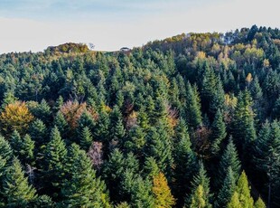 Widokowa działka nad Jeziorem Rożnowskim