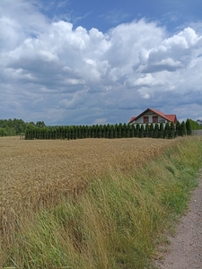 Działka rolna Książenice