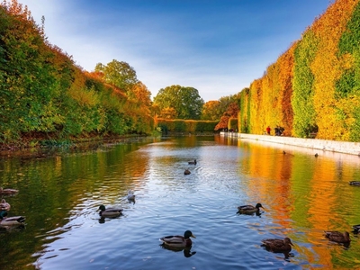 Mieszkanie Gdańsk Oliwa, ul. Grottgera