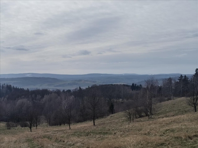 Działka na sprzedaż, Kłodzki, Nowa Ruda gm, Bieganów