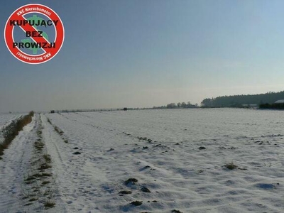 Krężnica Jara 8km od Lublina. 8000m2