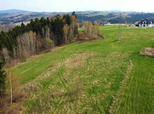 40 arów działki budowlanej w Paszynie