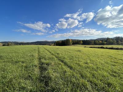 Janowice Wielkie duże działki z otwartym planem.