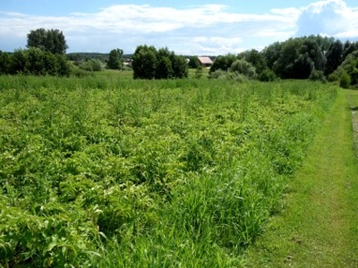 Działka budowlana Rudno