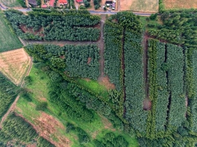 Działka budowlana Trzebnica