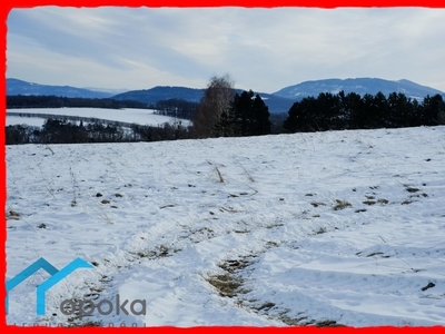 Działka inna Cieszyn, ul. Wiktora Kargera