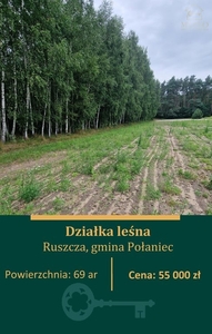 Działka leśna Ruszcza