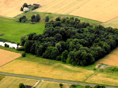 Działka leśna Trzebuchów