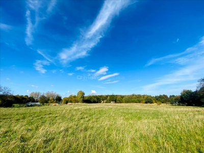 Działka Mikołów