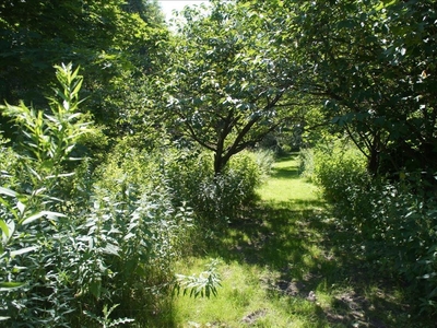 Działka na sprzedaż, Pruszkowski, Pęcice Małe