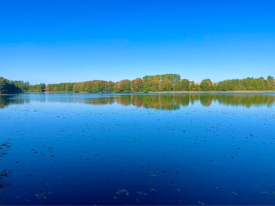 Działka nad jeziorem Żalskim