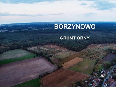 Działka rolna Borzynowo