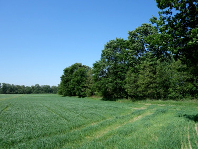 Działka rolna Skoczów