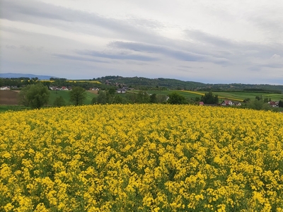 Działka widokowa spokojne miejsce