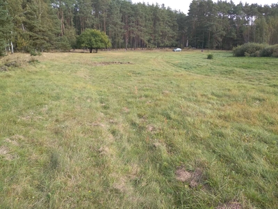 Ziemia rolna łąka przy lesie Jaryszewo