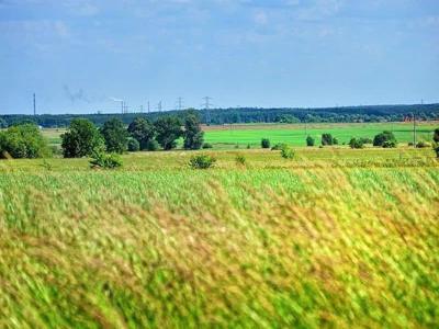 działka na sprzedaż Nowe Warpno (gw) Brzózki