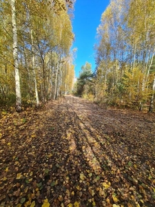 Działka 1500 m2, Osieck, Sobieńki