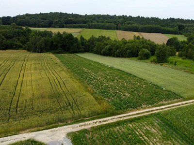 Działka Łajsce gm. Tarnowiec