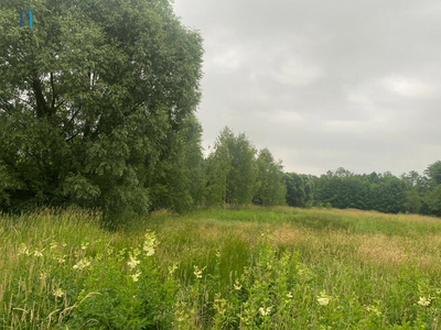 Działka budowlana Dąbrówka Wielka gm. Zgierz, Główna