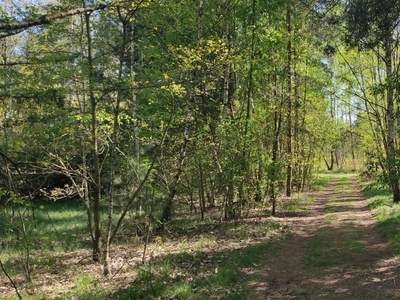 Działka budowlana Dziekanów Leśny