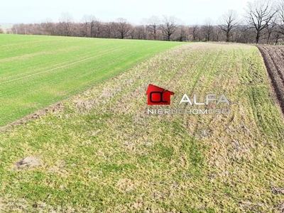 Działka budowlana Wierzbna gm. Żarów