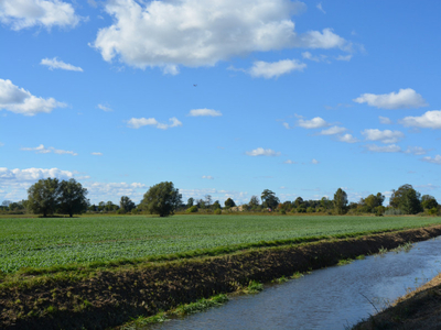 Działka budowlana Wiślinka 1200 m2.