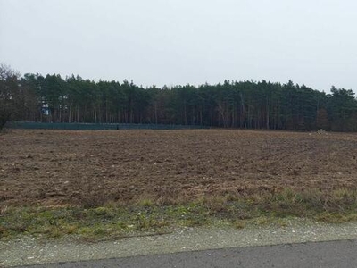 Działka przemysłowa 5000 m2 Lubicz Dolny