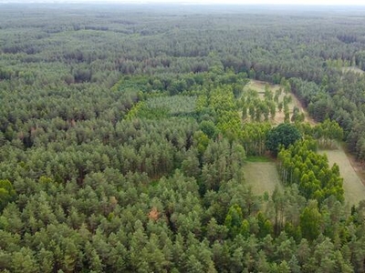 Działka rolna Dzierniakowo gm. Gródek