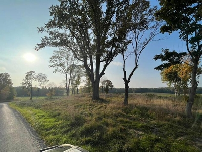 Działka rolna Iława Nejdyki