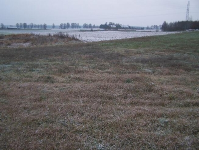 Działka siedliskowa Ząbrowo gm. Iława Ząbrowo