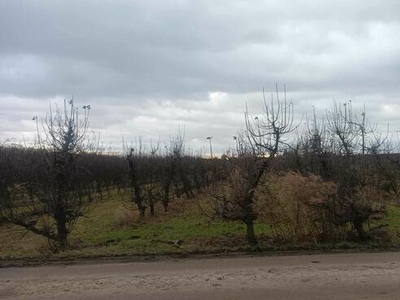 Działki rolne o pow. 0,27 ha + 0,73 ha w m. Głazów