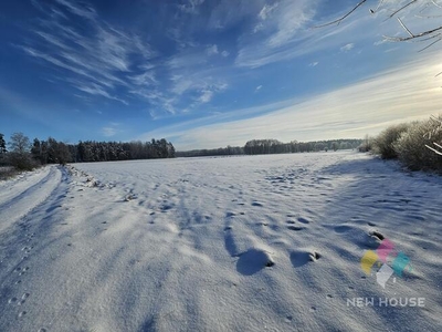 Gospodarstwo na Mazurach 30 ha, siedlisko, budynki