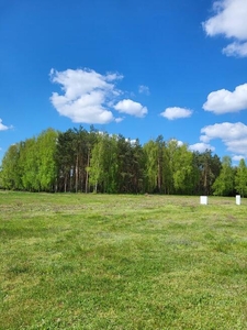 Pod lasem, blisko miasta