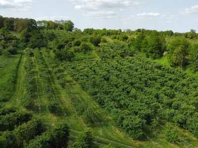 Sprzedam działkę Sucharzów Sandomierz