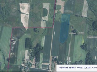 Działka rolna o powierzchni 2,37 ha Kulik-Kolonia