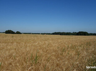 Skoczów Pruchna 1,15ha z prawem zabudowy bdb.lokalizacja w samym centrum