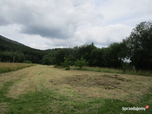 syndyk sprzeda udziały w działkach w Porąbce